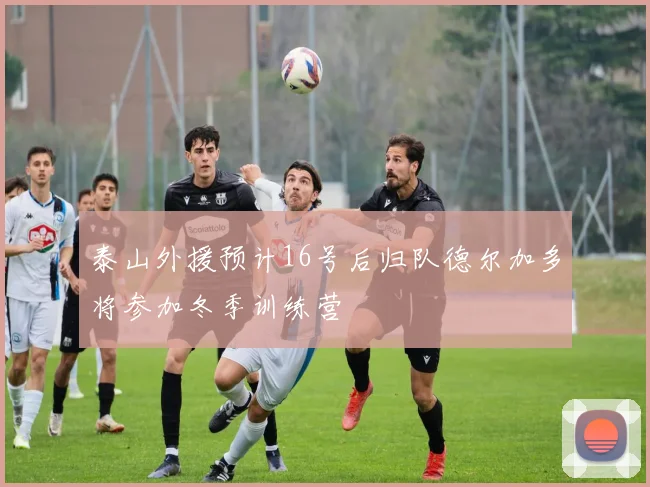 泰山外援预计16号后归队德尔加多将参加冬季训练营